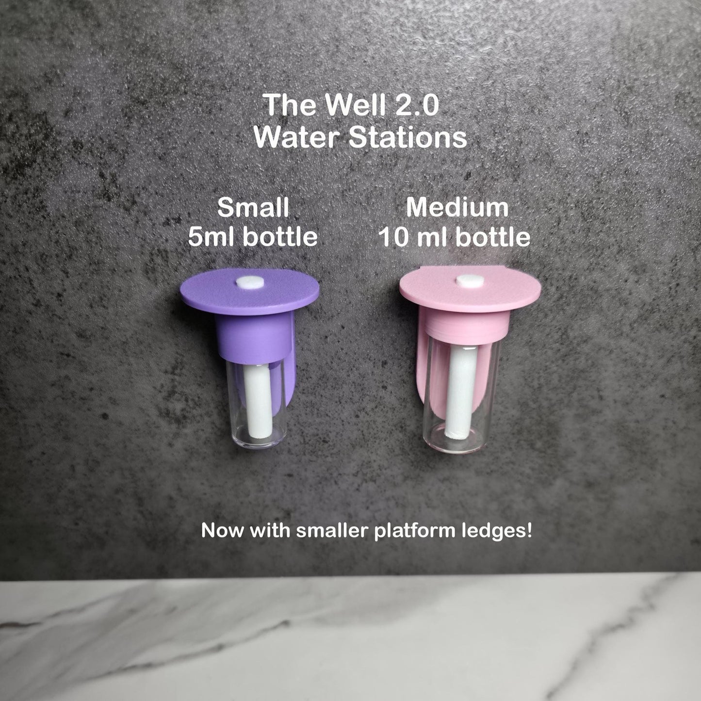 The Well 2.0-a water feeder For Jumping Spiders, Lower Bottle, Magnetic, includes 2 water Wicks, smaller 1.5" perch/platform!