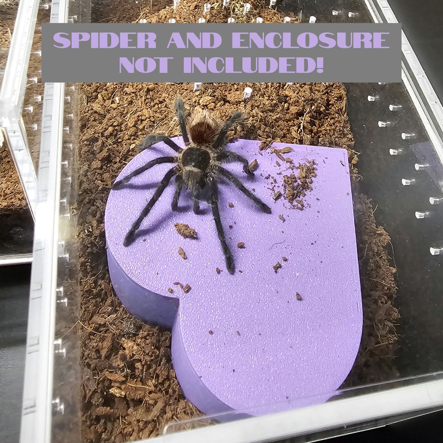 Heart Hide for (Juvenile to Adult) Terrestrial Tarantulas, small reptiles (4"-6")