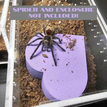 Heart Hide for (Juvenile to Adult) Terrestrial Tarantulas, small reptiles (4"-6")